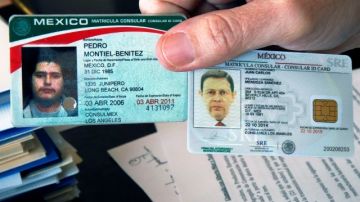 Algunas entidades aceptan la Matrícula Consular como identificación oficial