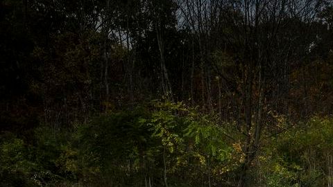 El Dodge Charger SRT Hellcat 2015 fue bautizado como el sedán más rápido y potente del mundo.