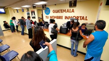 La afluencia es tanta en el Consulado de Guatemala que las filas se extienden hasta la calle.
