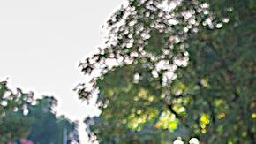 El Nissan LEAF conserva su lliderazgo en ventas en el segmento de los eléctricos.