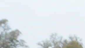 El alcalde Eric Garcetti va por su segundo año al cargo de la ciudad de Los Ángeles.