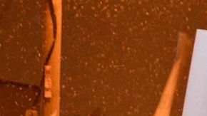 Defensores de Herbalife (izq.) se manifestaron mientras Bill Ackman (der) calificó a la empresa de fraudulenta en un foro de LULAC en Chicago.