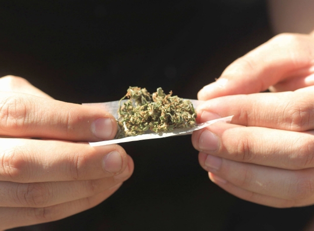 Mota o 'weed'? Marihuana de California desplaza a la mexicana - La Opinión