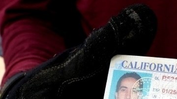 La nueva licencia trae el aviso: Límites Federales Aplican, en su cara principal.