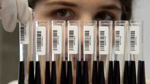 La Casa Blanca busca apoyo para los tratamientos médicos basados en las investigaciones del ADN.