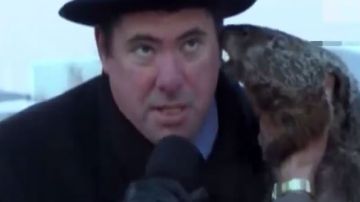 La marmota Jimmy atacó a un alcalde en Wisconsin