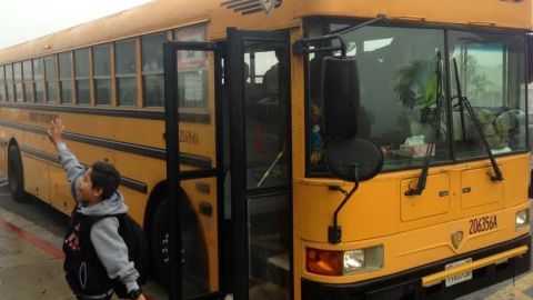 La conductora comenzó a llorar en cuanto sucedió el atropello