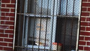 IM_20150209_LOCALES_150209435