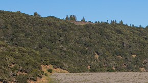 California entra en el cuarto año de sequía con muchas de sus reservas de agua casi agotadas.