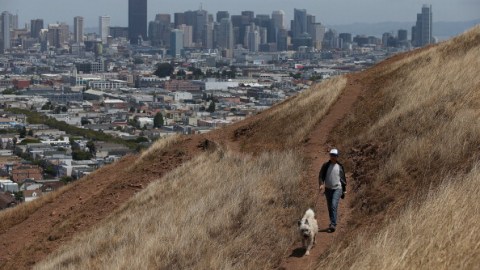 La larga sequía ha cambiado el color del paisaje en California