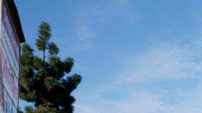 Veronica Tomas confronta a una grúa de Albert's Towing.