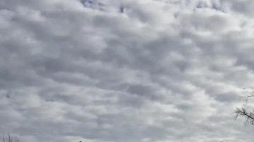 Manifestación por la muerte de Antonio Zambrano y por una reforma policial en Pasco, Washington.
