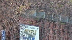 Evite largas filas y haga sus trámites en Internet.