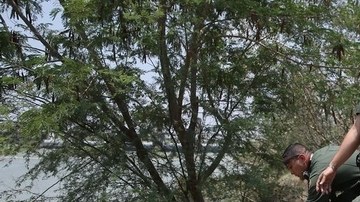 El Departamento de Justicia ha asignado más fondos para la defensa legal de niños centroamericanos no acompañados.