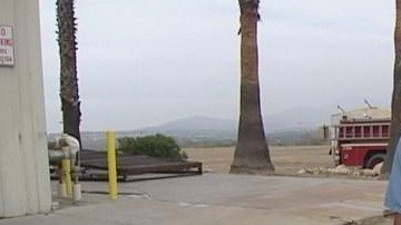 Los caninos son asignados a veteranos heridos en la guerra y personas con autismo.