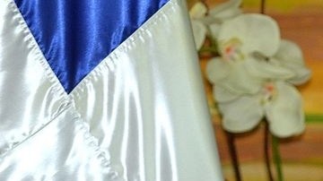 El canciller de RD Andrés Navarro se quejó del ataque contra las instalaciones diplomáticas en Haití.