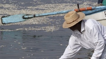 Pescadores recogen peces muertos en la laguna de El  Cajititlan,  en Tlajomulco de Zuñiga, Jalisco.
