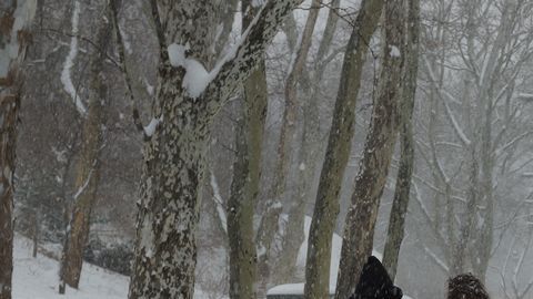 El mes de marzo inició con una nueva tormenta invernal.