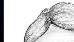 El hombre ha sido visto sentado en el asiento del pasajero en un auto estacionado con sus pantalones abajo, mostrando sus partes íntimas y a veces hasta masturbándose.