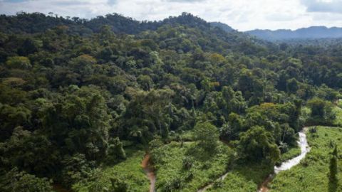 Las ruinas fueron identificadas primero en mayo de 2012 en un valle remoto en La Mosquitia.