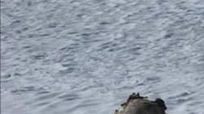 Foto del primer cadáver encontrado en el Pico de Orizaba.