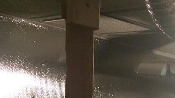 Guan Jiao Liao, de 58 años, fue arrestada por el cultivo de marihuana en su hogar.