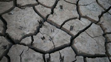 El estado carece de un plan a corto o largo plazo para enfrentar una sequía persistente como la actual o megasequías.