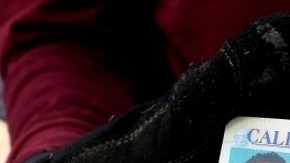 La nueva licencia trae el aviso: Límites Federales Aplican, en su cara principal.