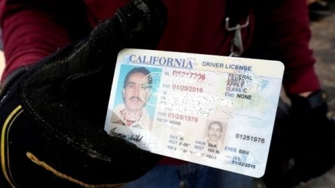 La nueva licencia trae el aviso: Límites Federales Aplican, en su cara principal.