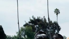 Familiares despiden a Gisella y Dillan, quienes fallecieron en un incendio provocado en marzo del 2014.