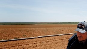 The drought could eliminate about 20,000 jobs in California.