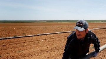 La sequía podría eliminar unos 20 mil puestos de trabajo en California.