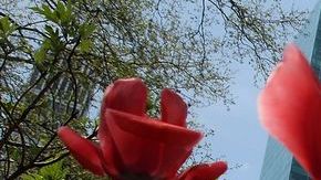 Hoy es el primer día de la primavera 2015.