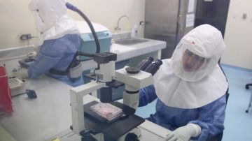Personal sanitario realiza trabajos de laboratorio con trajes especiales para prevenir el contagio de ébola.