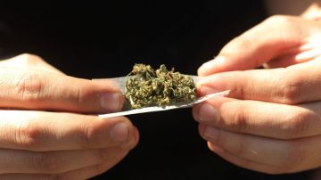 La aplicación Nestdrop mantiene una batalla legal por su derecho a facilitar el reparto a domicilio de marihuana en LA.