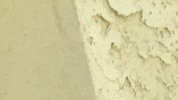 Los ancianos indocumentados son identificados como una población vulnerable.