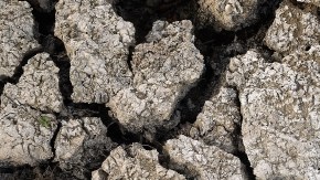 Ahorrar podría convertirse en la normalidad para los californianos, ya que la interminable sequía evidencia la realidad del cambio climático.