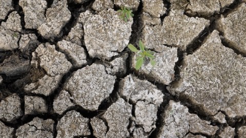Ahorrar podría convertirse en la normalidad para los californianos, ya que la interminable sequía evidencia la realidad del cambio climático.