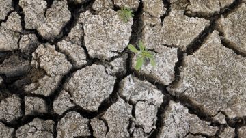 Ahorrar podría convertirse en la normalidad para los californianos, ya que la interminable sequía evidencia la realidad del cambio climático.