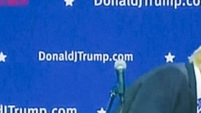 peluquin donald trump