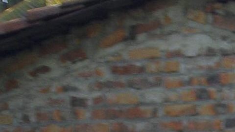 IDENTIFICADOS 13 DE 14 PANDILLEROS ASESINADOS EN CÁRCEL DE EL SALVADOR