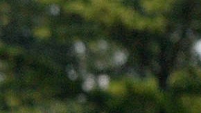 Grupo antiabortista presenta una quinto video en contra de la organización Planned Parenthood.