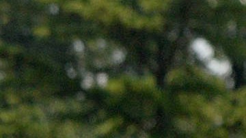 Grupo antiabortista presenta una quinto video en contra de la organización Planned Parenthood.