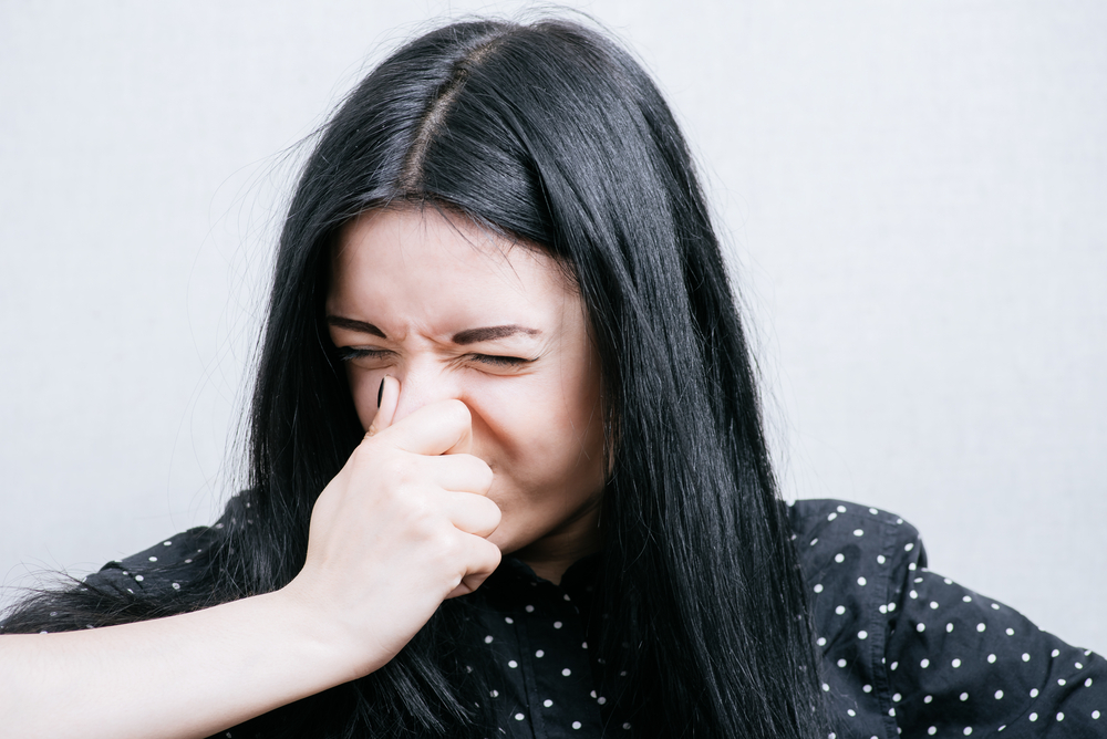 Las alergias pueden ser causadas por múltiples factores. Estos son algunos de ellos.