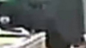El video muestra a policía consumiendo productos que supuestamente contienen marihuana.