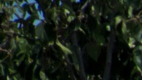 Inquilinos de varias casas sobre la cuadra 2400 sobre la calle 1st en Boyle Heights se oponen a ser desalojados para dar paso a la construcción de un edificio de apartamentos