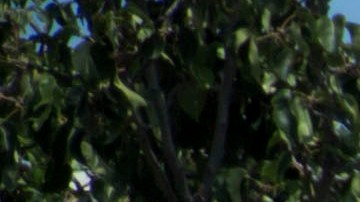 Inquilinos de varias casas sobre la cuadra 2400 sobre la calle 1st en Boyle Heights se oponen a ser desalojados para dar paso a la construcción de un edificio de apartamentos