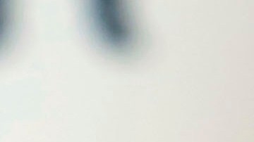 Una foto familiar muestra a William Vásquez, quien falleció de forma trágica en el Puerto de Long Beach.