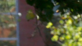 En este ciclo se calcula que el 64% de los estudiantes de nuevo ingreso es hispano, reflejo de una efectiva campaña de reclutamiento en preparatorias cercanas, con un alumnado mayormente latino.