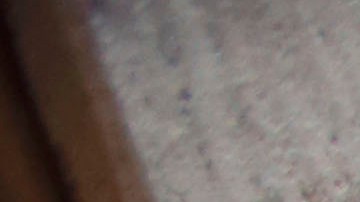 Los inmigrantes y otros grupos de no ciudadanos podrían anotarse una victoria si se aprueba en noviembre una medida para que puedan votar en los comicios locales.